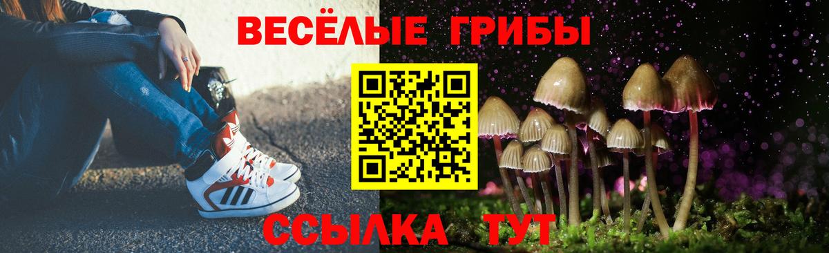 Ленинск-Кузнецкий  Псилоцибиновые грибы мухоморы  Галлюциногенные грибы Cubensis  Вход с VPN 